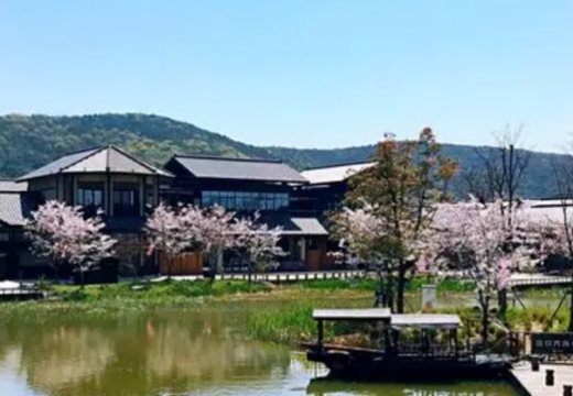 无锡、苏州疗休养5日游