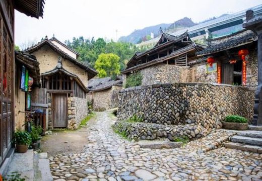 泰顺疗休养5日游